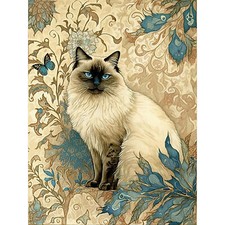 Blue Point Ragdoll Cat Plants
