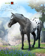 Appaloosa Stallion Blue Roan Horse Toy Model Figure by CollectA 88947 New