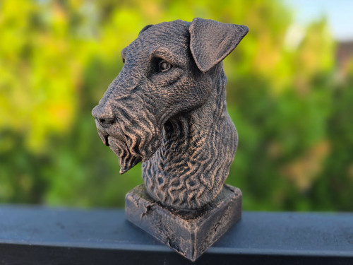 Kerry blue terrier - blue, bust