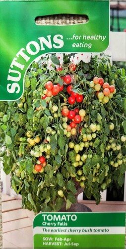 Hanging basket container - hanging, basket/container