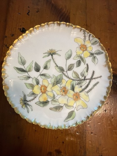 Haviland france limoges hand - france,