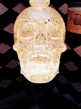 Crystal Skull Glitter Motion