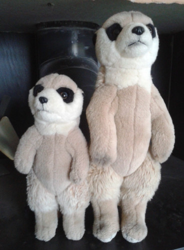 Keel toys two meerkat - meerkat, soft
