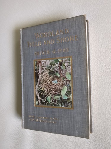 Woodland field and shore - field,