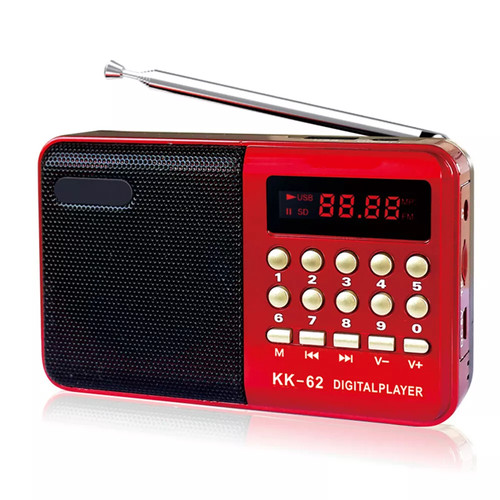 Mini digital radio - fm,