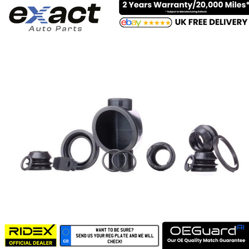 Brake caliper repair - caliper,