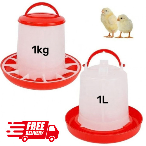 Chicken poultry feeders - poultry,