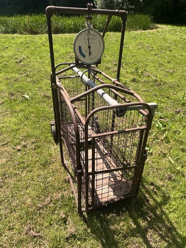 Gascoignes pig weighing scales - pig,