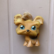 littlest pet shop #3 yorkie shitzu generation 1 authentic lps