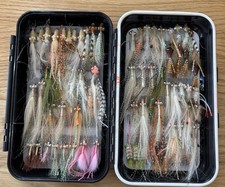Collection Of 65 Bonefish