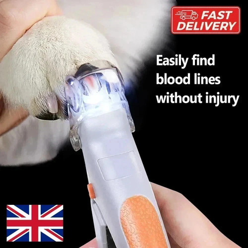 Dog cat pet - dog, clippers