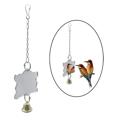 Parrot mirror toys clip - parrot,