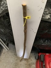 Seasoned Blackthorn SHANK