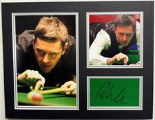 Professional Snooker Player