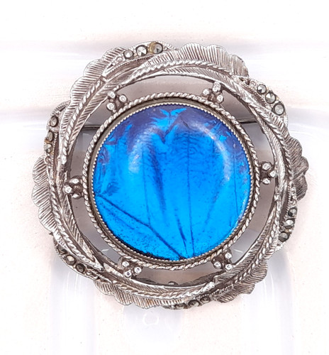 Vintage blue butterfly wing - vintage,