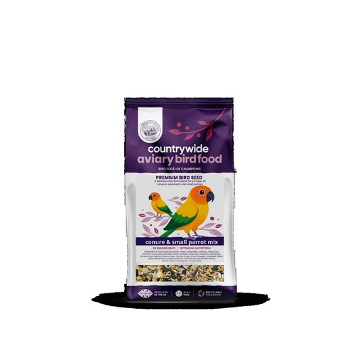 Countrywide conure parrot - conure,