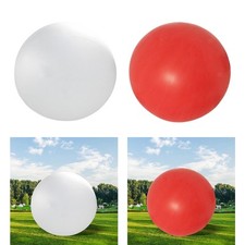 Giant balloon professional - balloon,