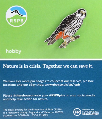 Rspb pin badge - niic, hobby