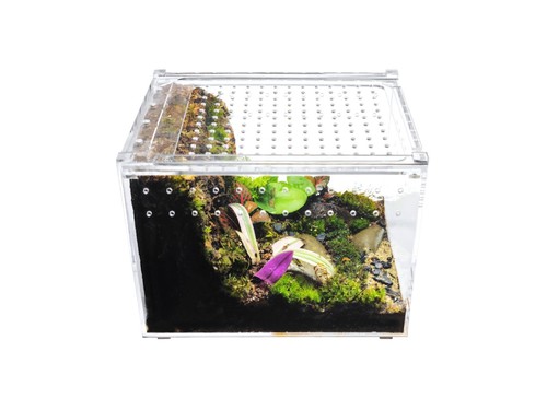 Herpcult acrylic reptile - herpcult,
