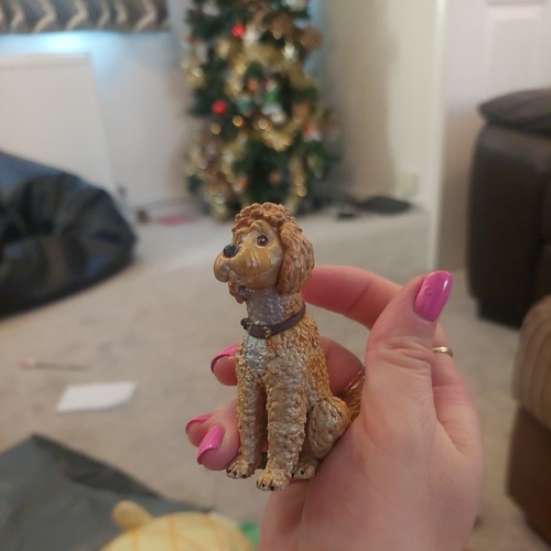 Fancy nancy frenchy pup - fancy,