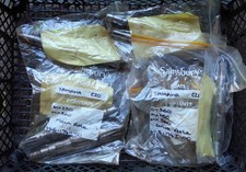 Job Lot of 8 Classic Yamaha