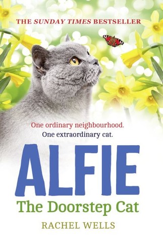 Alfie the doorstep cat