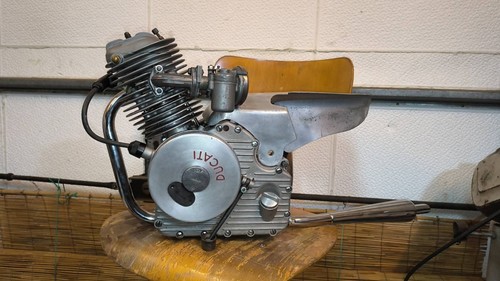 Ducati puppy - ducati, 60