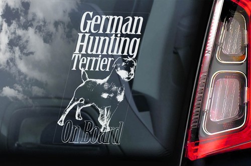 German hunting terrier - hunting,