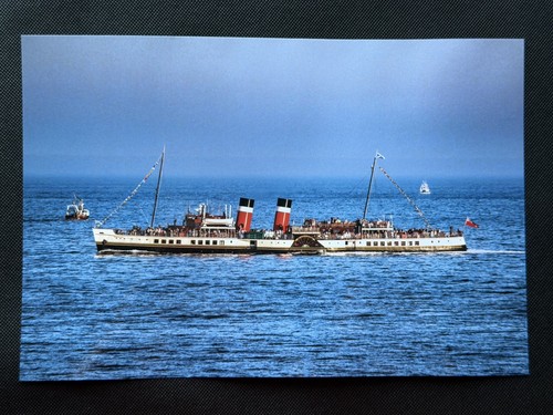 12x8 print paddle steamer - print,