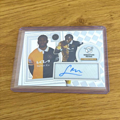 Panini football league - football,