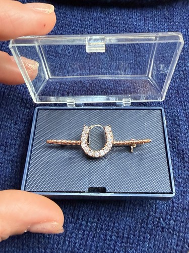 Shires diamante horseshoe - shires,