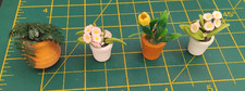4 X Miniature Plants In Pots
