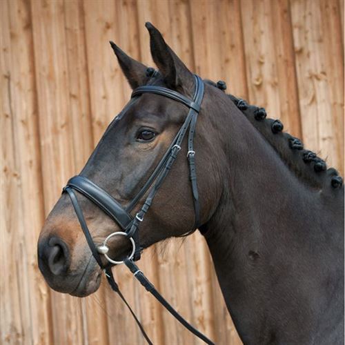 Kieffer ergonomic snaffle - ergonomic,