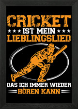 Cricket is like a favorite