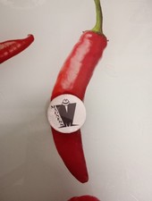 Vintage Madness Pin Badge