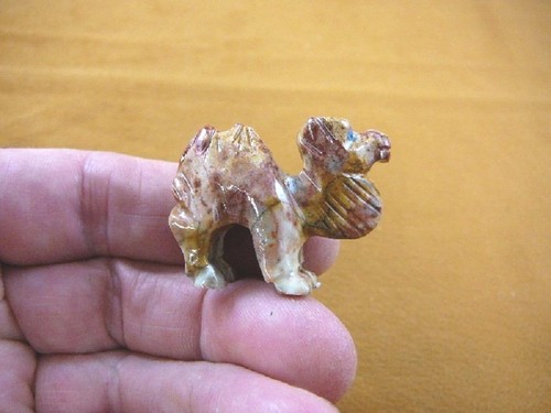 Red camel camels - (y-cam-16),