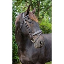 Ecorider Ultra Comfort