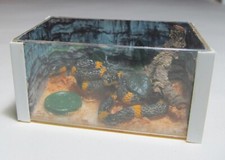 Dolls house miniature pets, snake vivarium