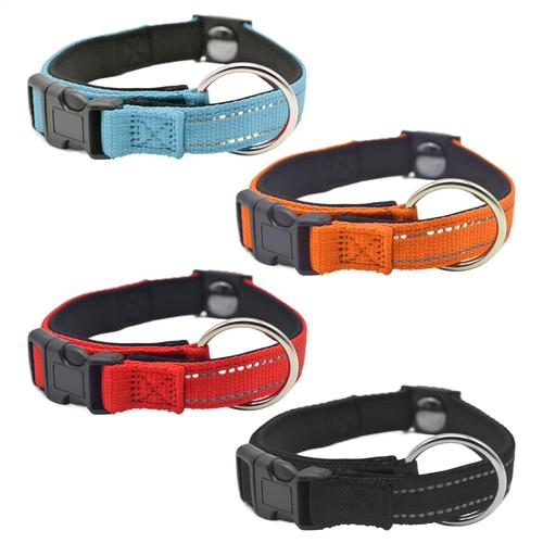 Magnetic dog collar - dog, reflective
