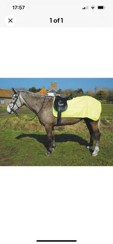 Rhinegold ride hi viz - 3/4, hi-viz