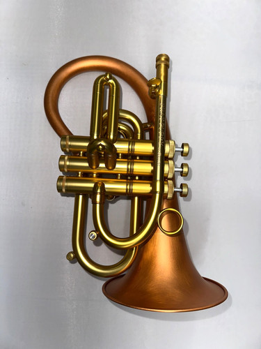 Pocket flugelhorn taylor - pocket,