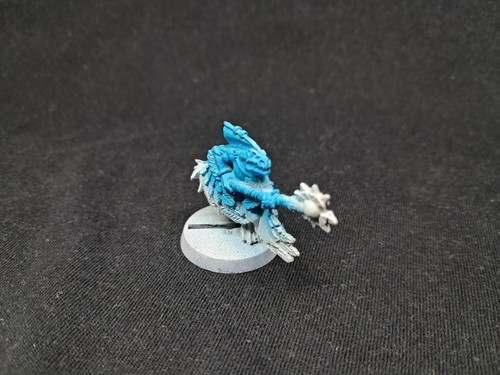 Skink priest with - skink,