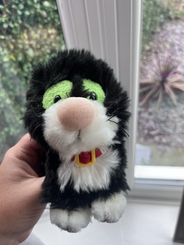 Jess the cat - from, pat