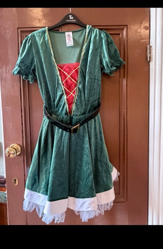 Elf fancy dress costume - dress,