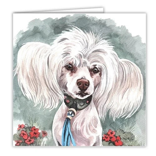 Chinese crested card waggydogz