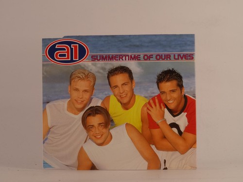Summertime our lives - a1, of