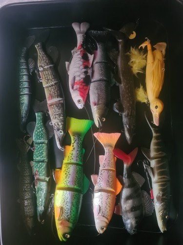 Mostly unused large - unused, lure