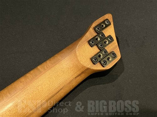 Ibanez ehb1005msl bass - bass, guitar
