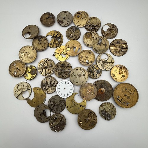 Bundle large pocket watch - bundle,