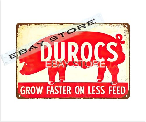 Durocs feeds hog pig farm - feeds,